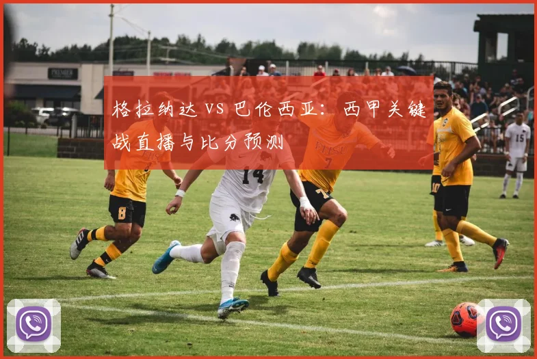 格拉纳达 vs 巴伦西亚：西甲关键战直播与比分预测