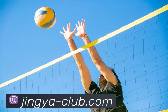 易倍emc平台生态图